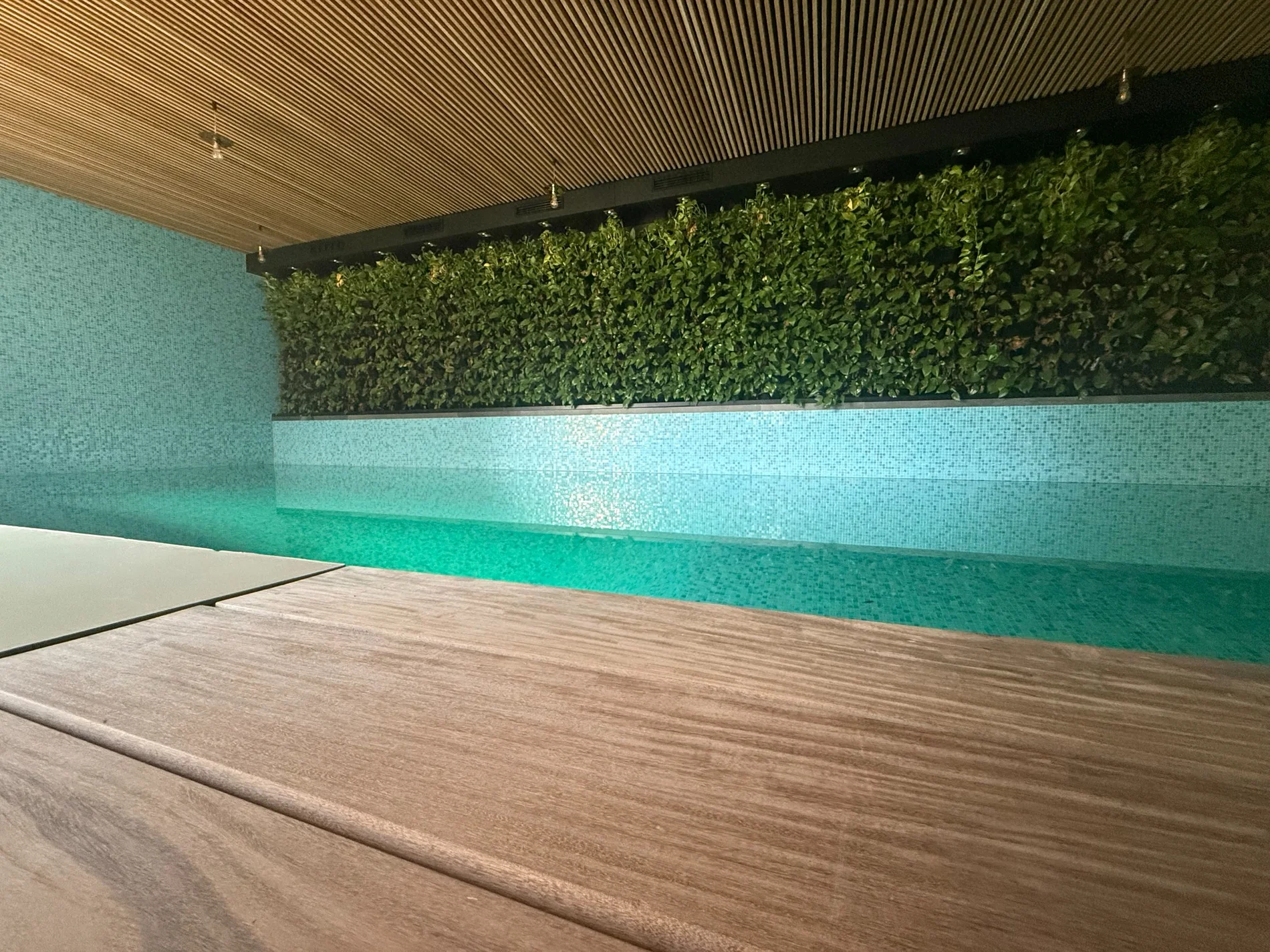 Zone 3 — Pool & wellness
