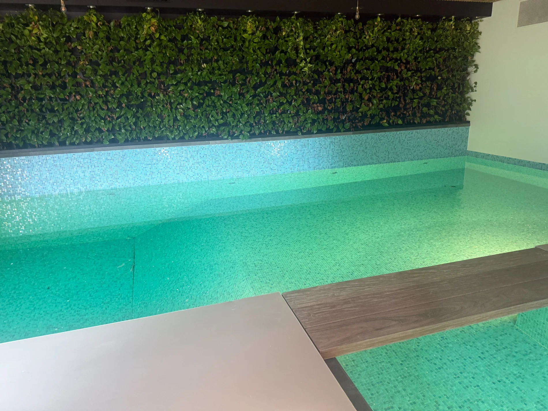 Zone 3 — Pool & wellness